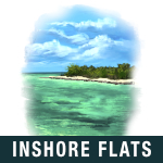 Inshore Flats